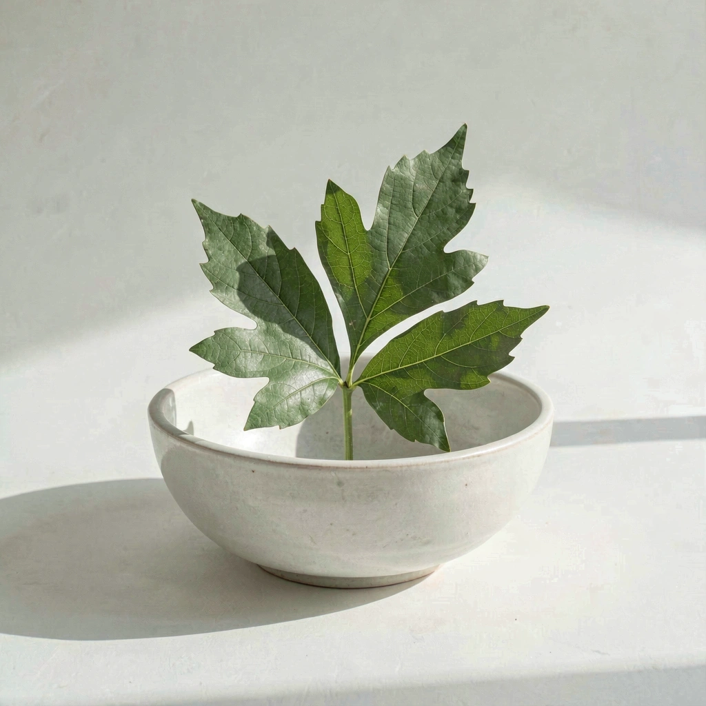 Botanikai tisztaság