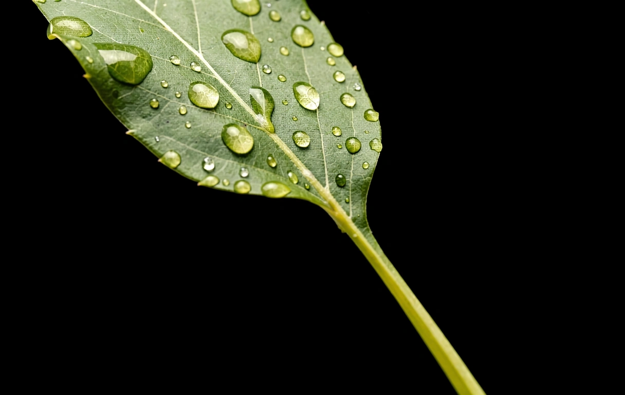 Természetes elem részlet